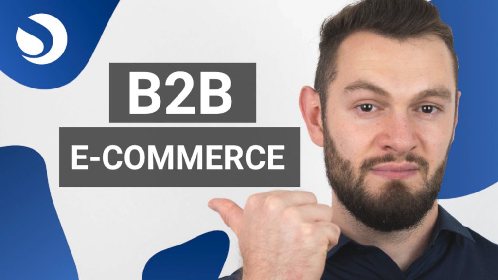 E-Commerce Strategien für B2B Unternehmen